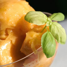 Tangy Hibiscus Sorbet Tangy Hibiscus Sorbet