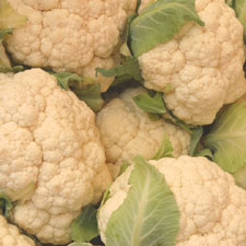 Grated Cauliflower