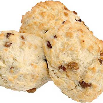 Chocolate Chip Scones with Hazelnuts