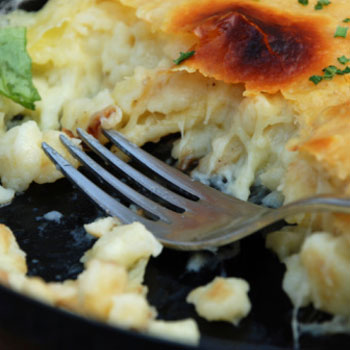 Tomato and Basil Macaroni Cheese