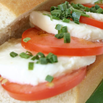 Tomato, Basil & Mozzarella Sandwich Tomato, Basil & Mozzarella Sandwich