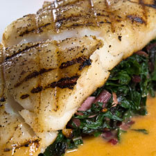 Gorgonzola Grouper Gorgonzola Grouper