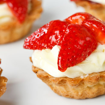 Food & Recipes