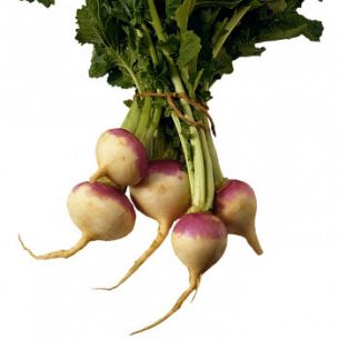 Don't Turnip Your Nose At This Veggie