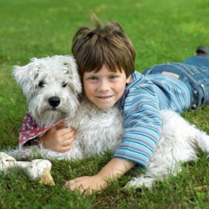 The Kids and the Furry: Time for a Pet?