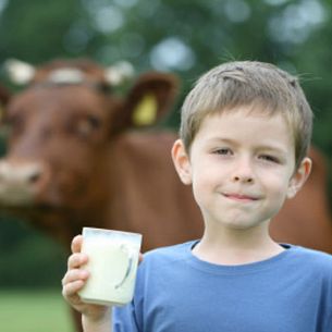 Are Growth Hormones a Bad Moo-ve?
